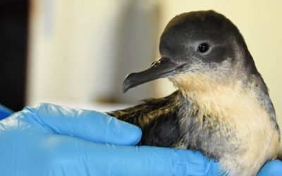 1d90edad-ff18-40a1-9eaa-e1b7804cf934_thumb840